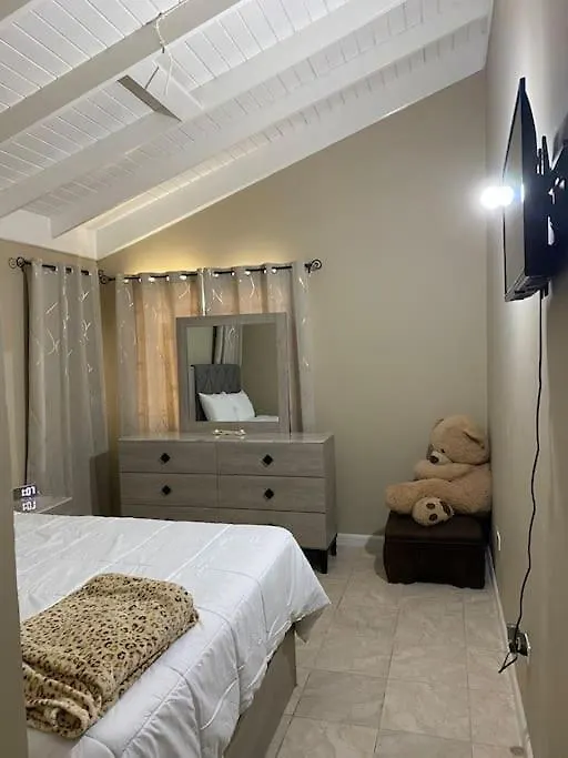 C Island Experience Villa Montego Bay Holiday home