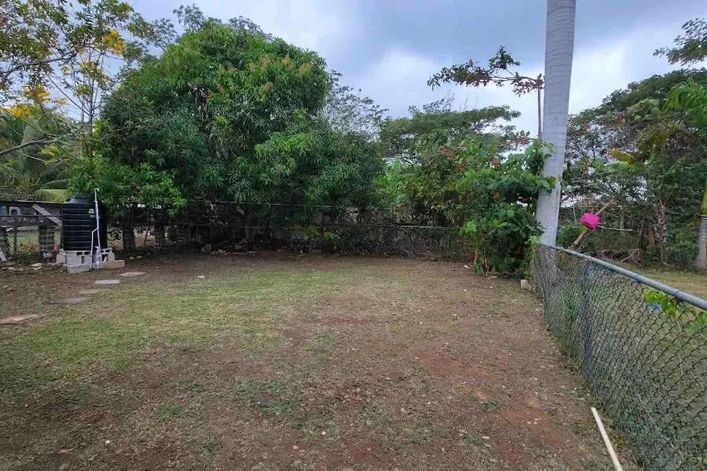 C Island Experience Villa Montego Bay Holiday home